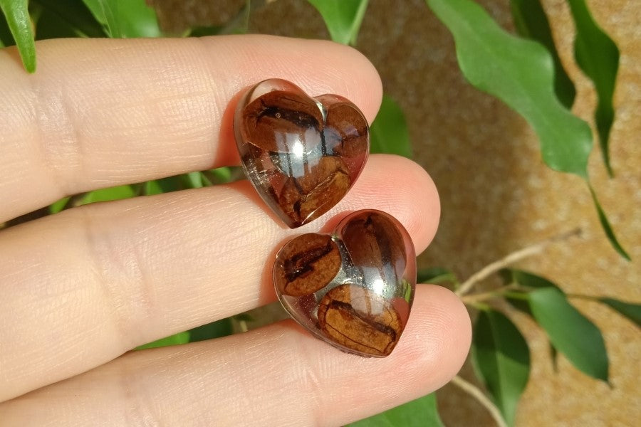 Earrings with coffee beans in epoxy resin.